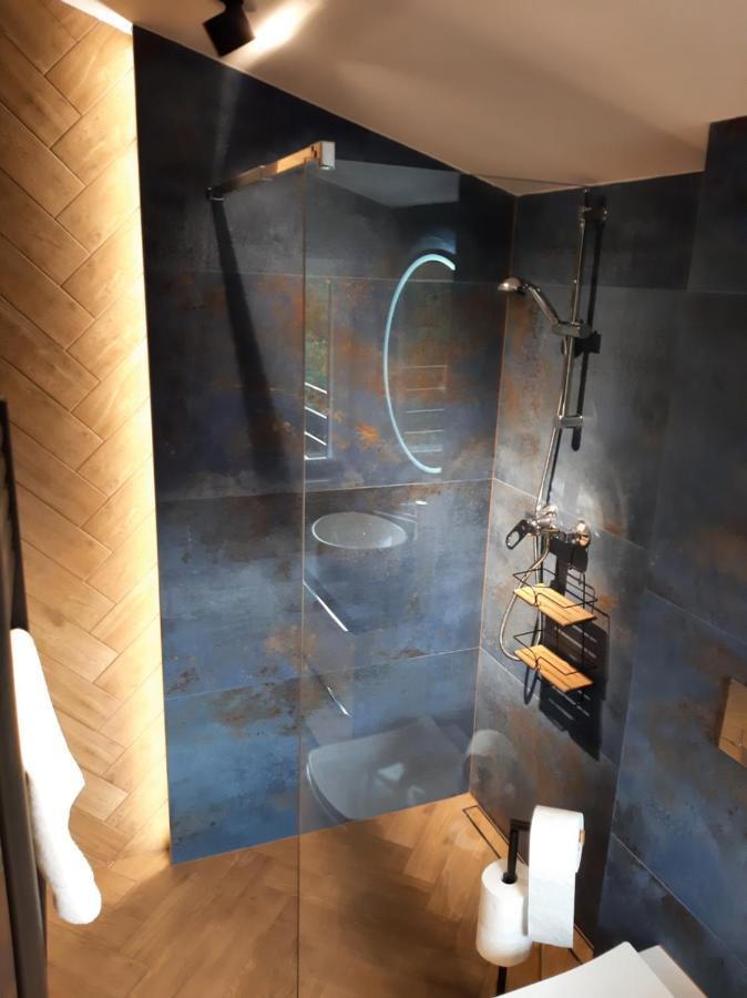 Apartament Willa Pod Sosnami Zator Przeciszow Εξωτερικό φωτογραφία