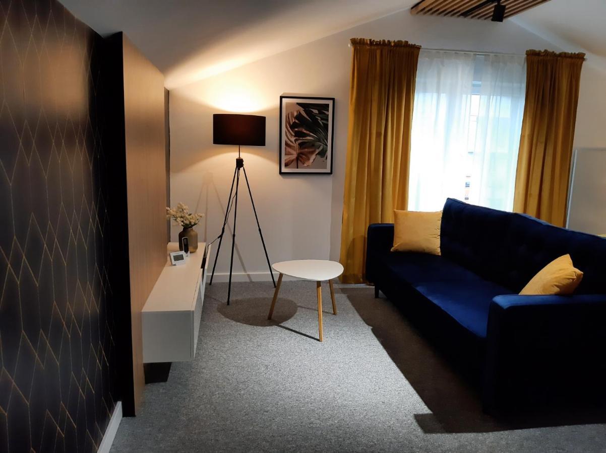 Apartament Willa Pod Sosnami Zator Przeciszow Εξωτερικό φωτογραφία